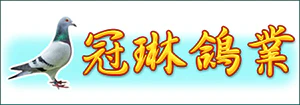 冠琳鴿業