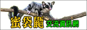 蜜袋鼯交流資訊網