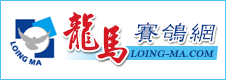 龍馬賽鴿網