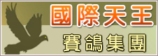 國際天王賽鴿集團