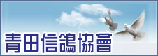 青田信鴿協會