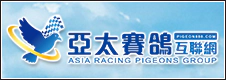亞太賽鴿互聯網
