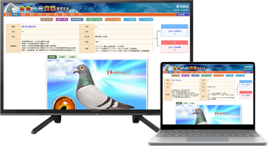 銘鴿血統資料管理系統